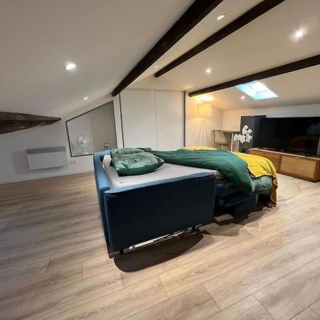 Kiss Cool - Loft En Centre Ville سان ديزييه المظهر الخارجي الصورة